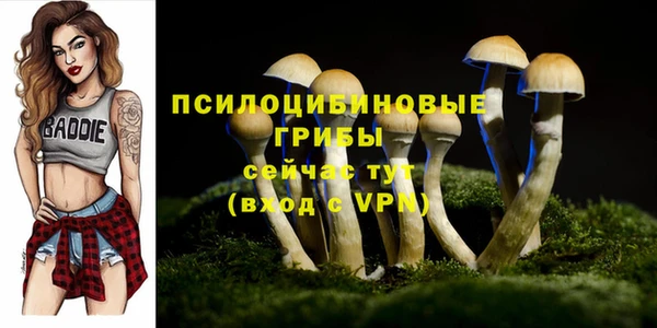 марки nbome Баксан